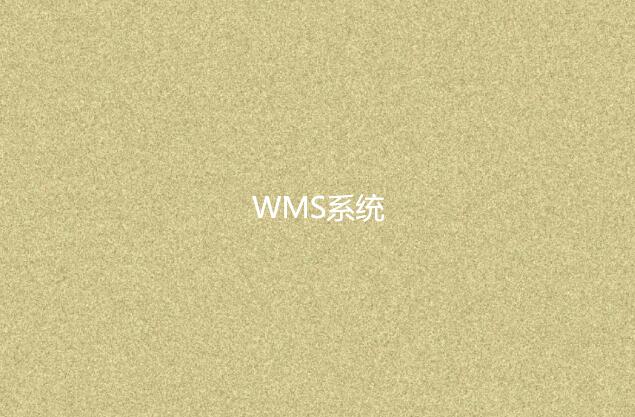 WMS系統適合小型企業嗎？